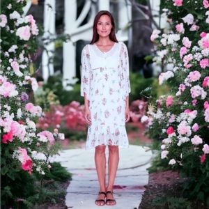 $315 Johnny Was Spring Bouquet Dress Small 100% Silk Crinkle Chiffon + Liner NWT